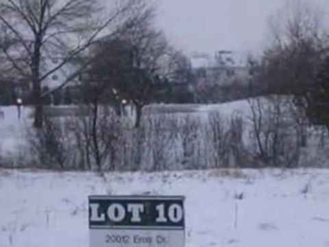 Homes for Sale - 20012 Eros Drive - Olympia Fields, IL 60461