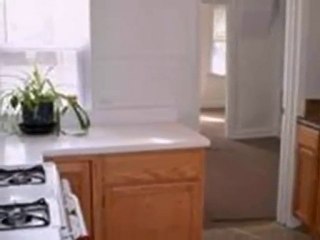 Homes for Sale - 7535 S Saint Lawrence Ave - Chicago, IL 606