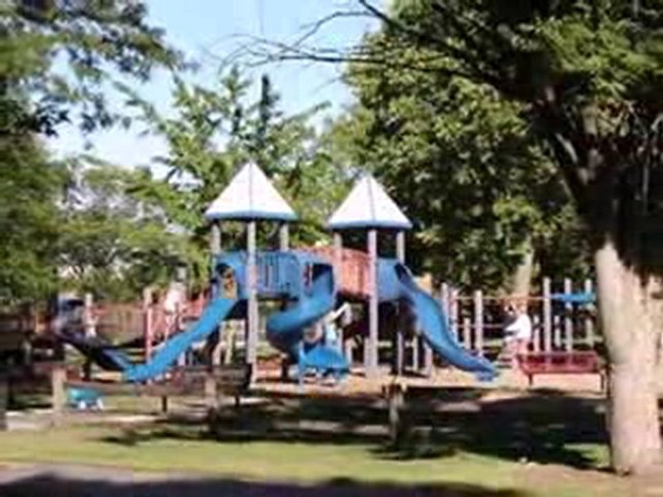 Homes for Sale - 265 E Marion St - Elmhurst, IL 60126 - Cold