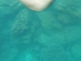 lion de mer sous l'eau aux galapagos