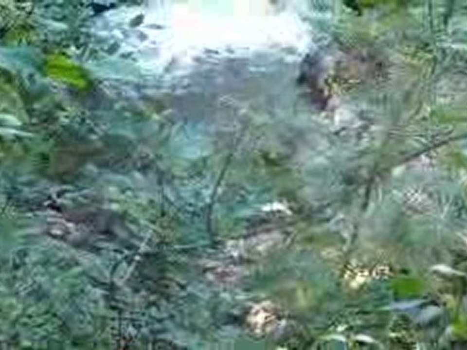 Cascades de Murel 1020273