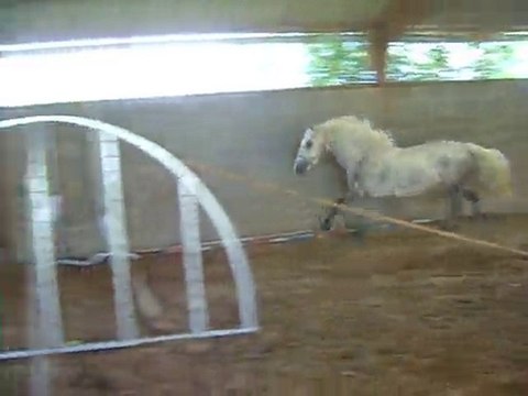 Siobhan oxer Aout 2010