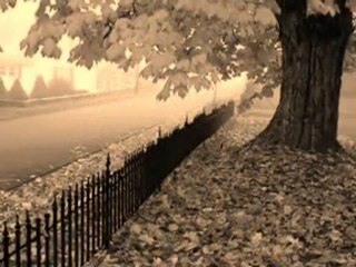 TUAL ~HuZuN ~ BogAchaN