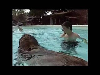 Les vacances de Circé (été 2010)