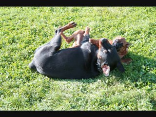 ma douce poupée et ses amis_0001