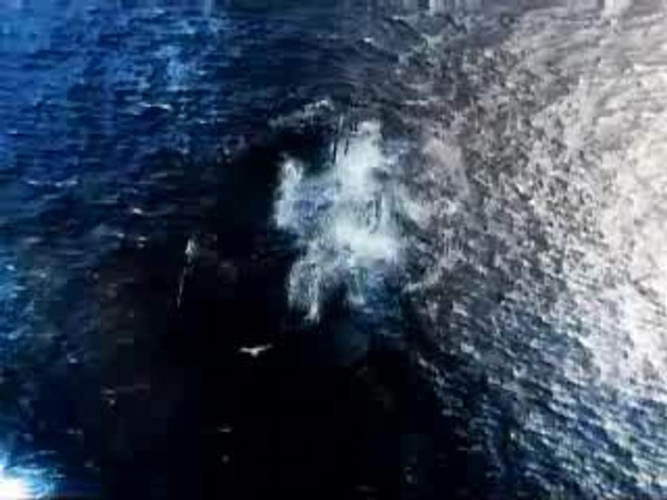 Générique Atlantis saison 2 long