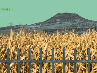 Low-income countries in 2030 - Coping Alone