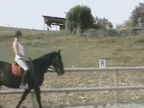 marieke seance 7 jour 6