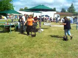 Exposition  Yorkshire Firefox Du Mazeroux de La Source Dorée