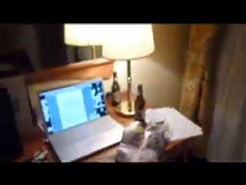 Melvil Poupaud à Locarno