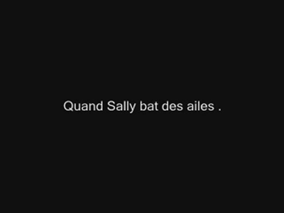 Quand sally bat des ailes