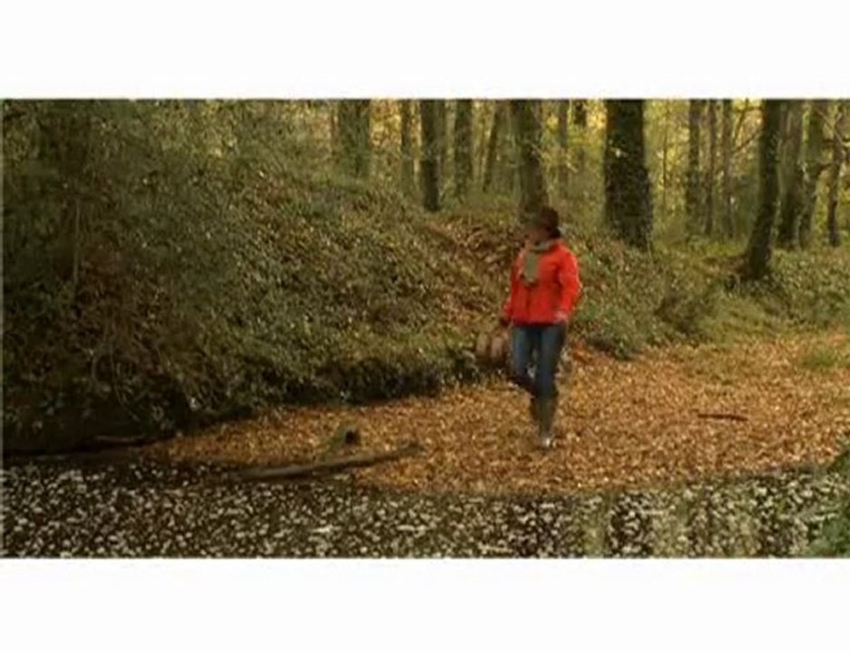 La forêt du Gâvre