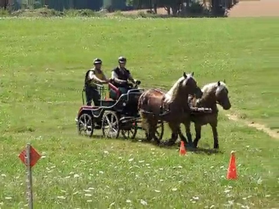 Gaminettes à Padoux