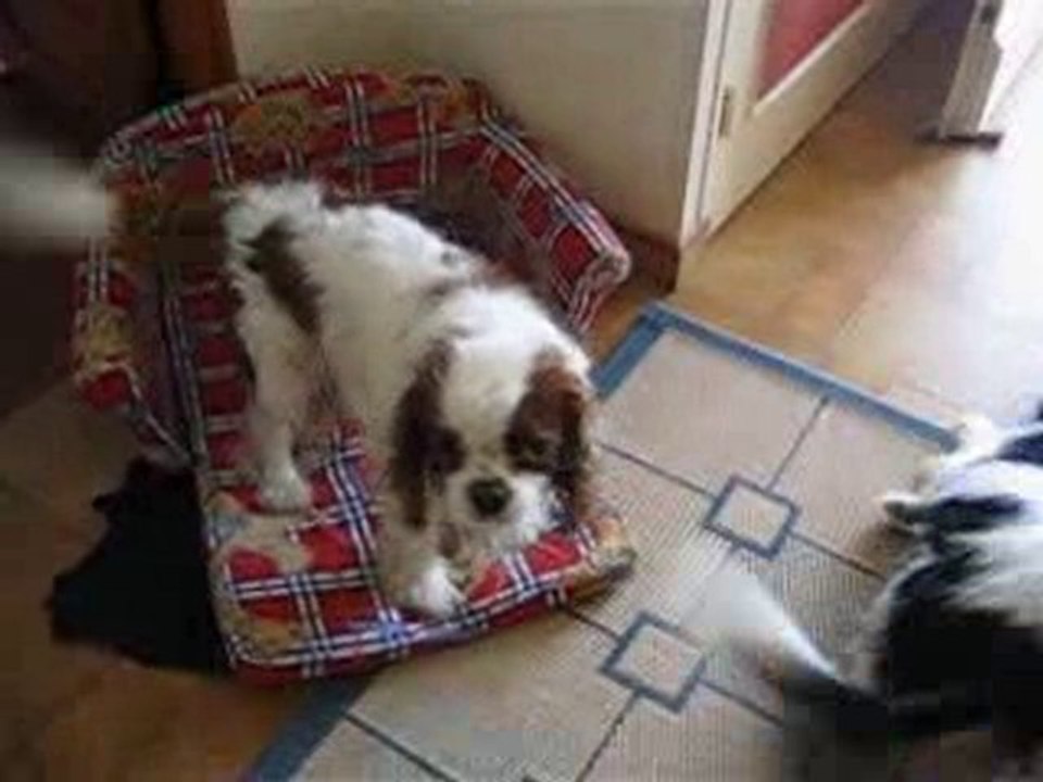 Photo 004