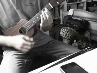 Chupee - Cocoon - Ukelele