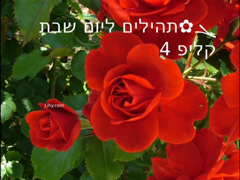 ܓ✿תהילים ליום 7 שבת, קליפ 4/4