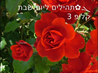 ܓ✿תהילים ליום 7 שבת, קליפ 3/4