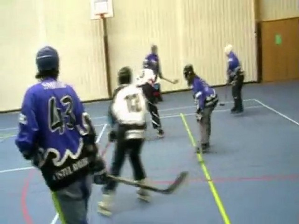 Roller Hockey : Busards V.S. Chateauthierry - 19/06/2010