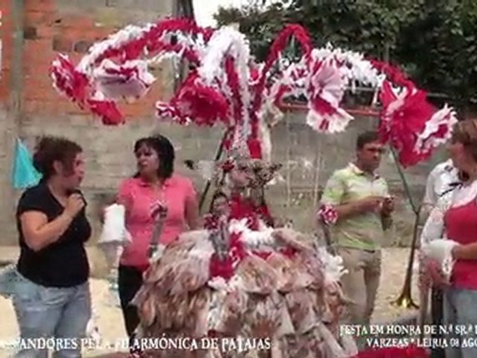 RECOLHA DE ANDORES-FESTA DAS VÁRZEAS 2010 LEIRIA