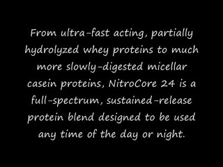 Optimum Nutrition Nitrocore 24