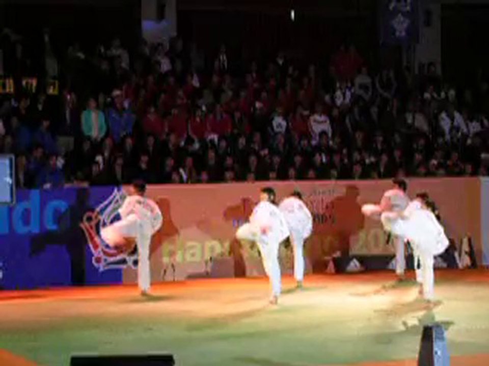 taekwondo poomse 2