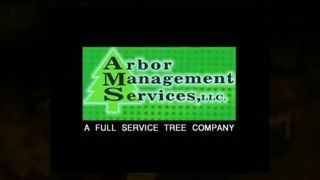 Shreveport Tree Service -Arbor Management