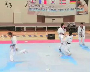 taekwondo démo équipe coréenne à coubertin part 1