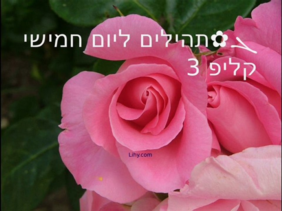 ܓ✿תהילים ליום 5 חמישי, קליפ 3/3