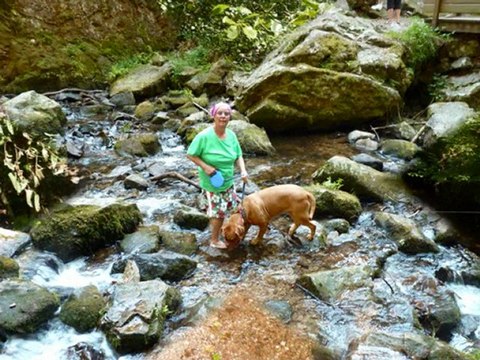 suite des vacances a gerardmer