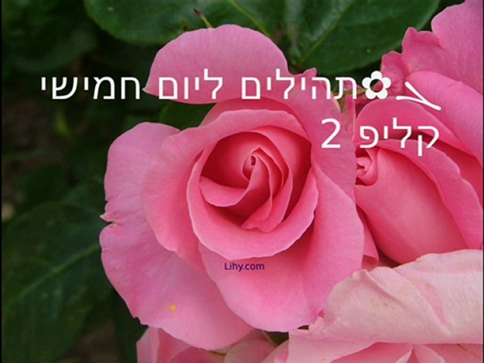 ܓ✿תהילים ליום 5 חמישי, קליפ 2/3