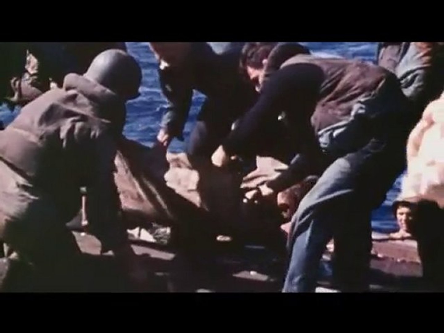 ⁣Japanese Kamikaze!