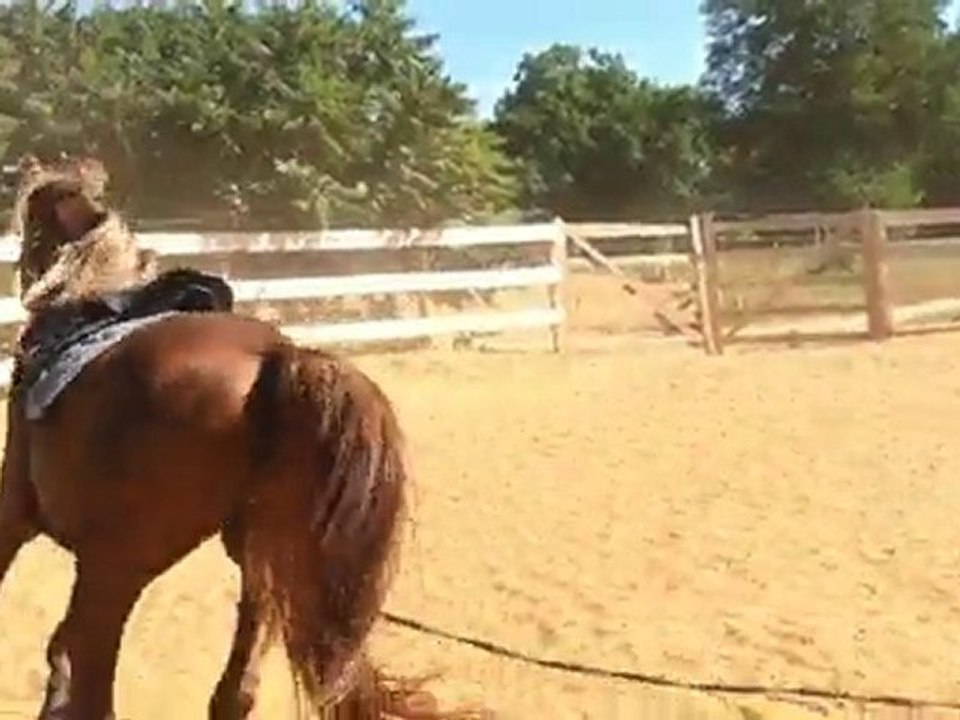 Amghar détente à la longe.