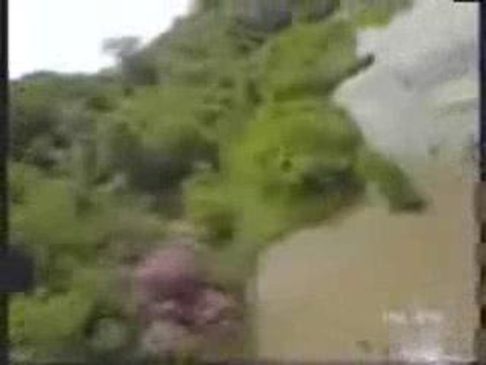 La vengeance des canards