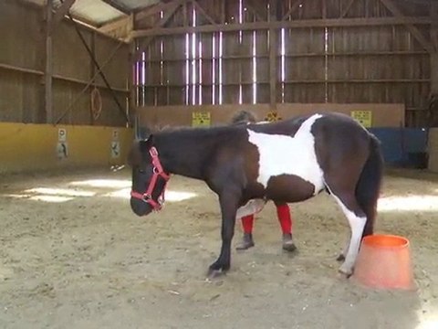 Titeuf > Révérance