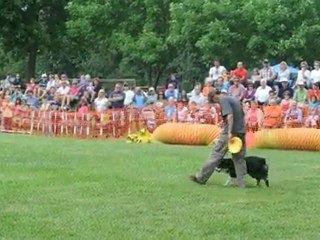 Fete de la Famille Trois-Rivieres 8 Aout 2010 Agilités DOGS