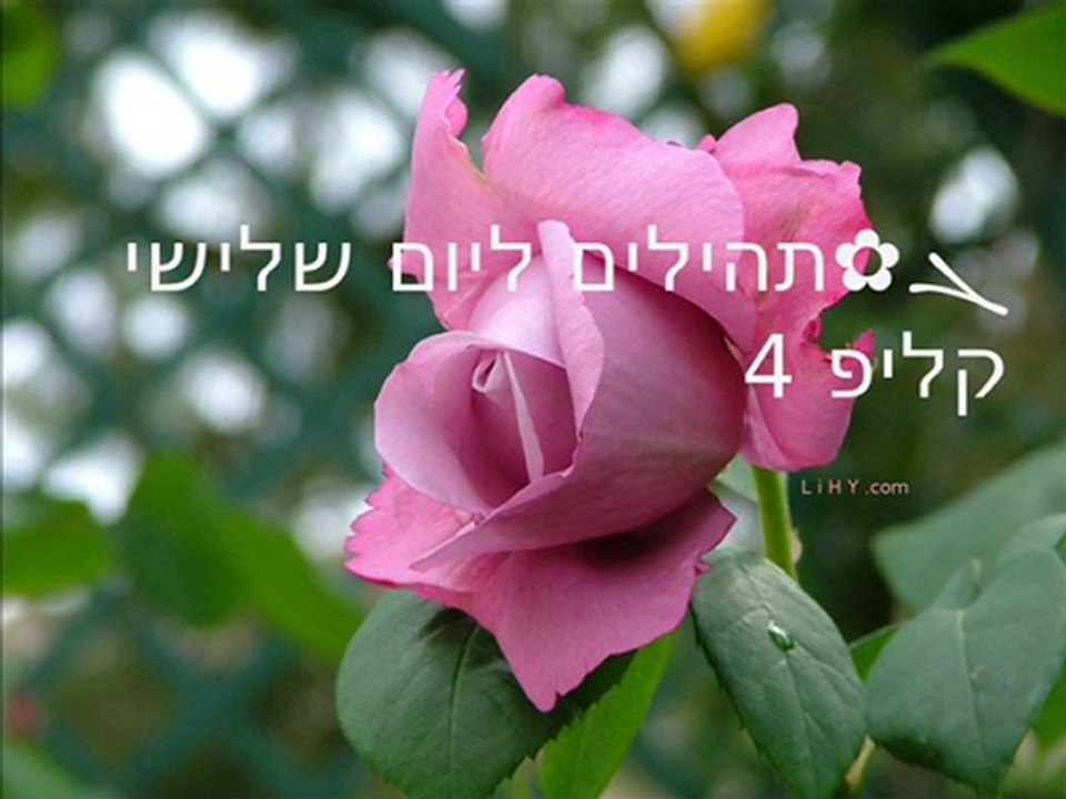 ܓ✿תהילים ליום 3 שלישי, קליפ 4/4