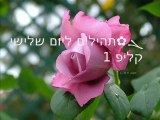 ܓ✿תהילים ליום 3 שלישי, קליפ 1/4