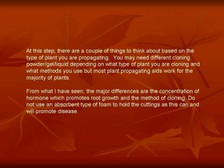 Master Plant Propagation: Easy Tips & Techniques for Successful Growth 🌱