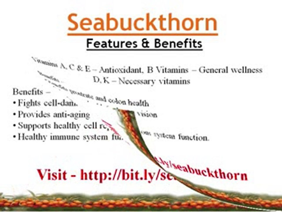 Seabuckthorn