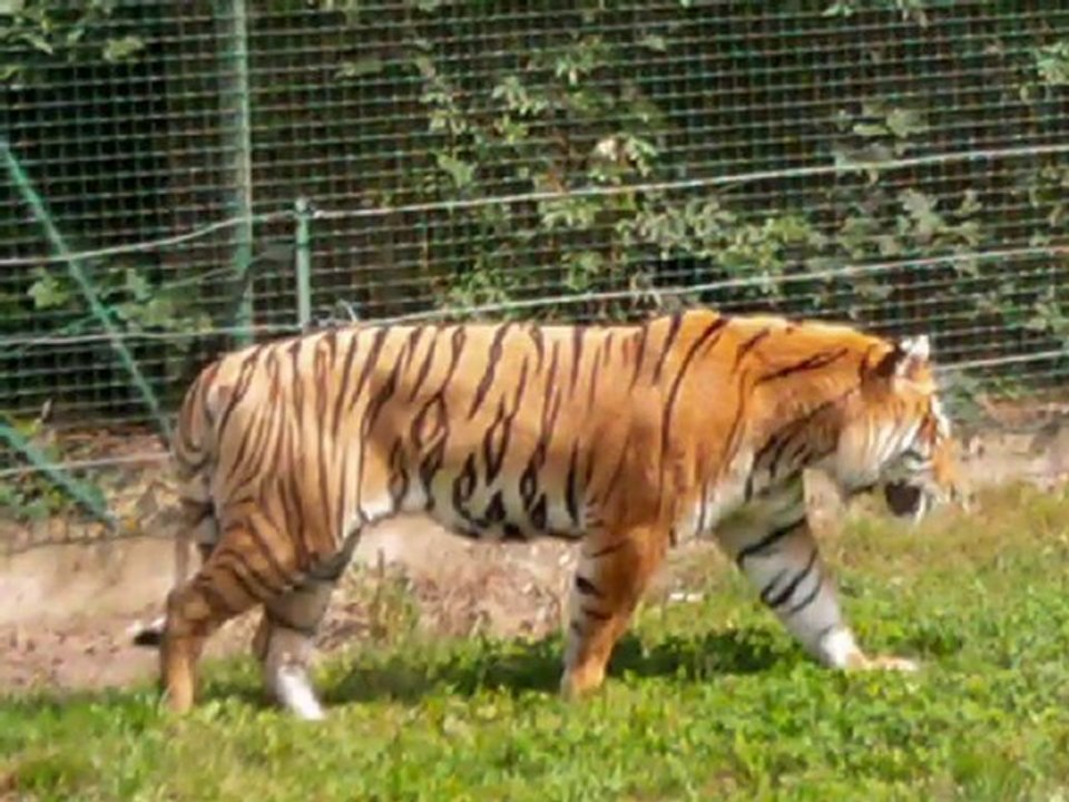 bellewaerde 2010