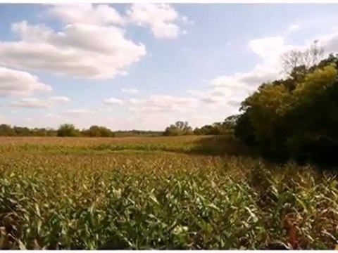 Homes for Sale - Lot 6 Lake Cook Road - Barrington Hills, IL