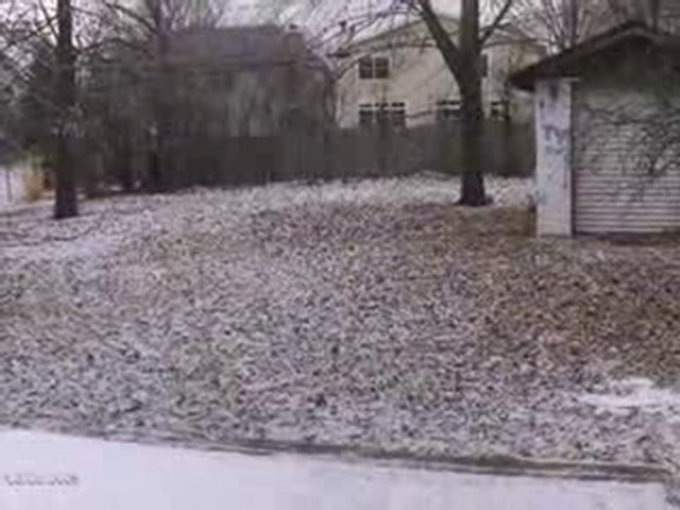 Homes for Sale - 4628 Stonewall Ave - Downers Grove, IL 6051