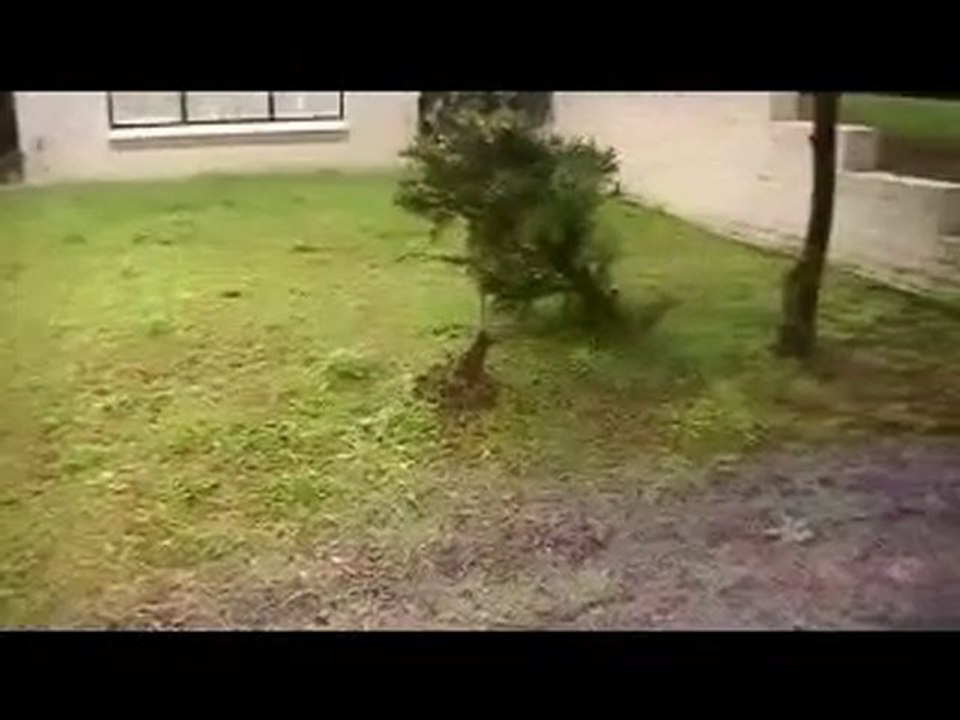 [Lawn Care Tips] [Weed and Feed Lawn Care] [Couch Lawn Care]