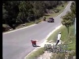 Pickup truck full of people rolls over