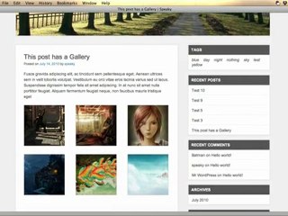 Speaky Twenty Ten Child Theme Preview