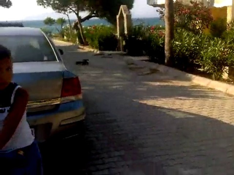 ofna buggy with outrunner motor 5s lipo