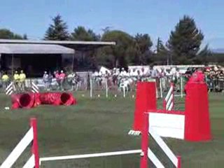 bleue jump trophée 2010