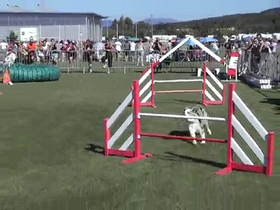 swanny jump trophée 2010