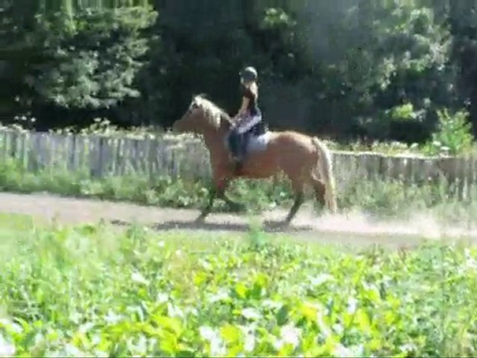 journée magique avec tornade le 09/09/10 !
