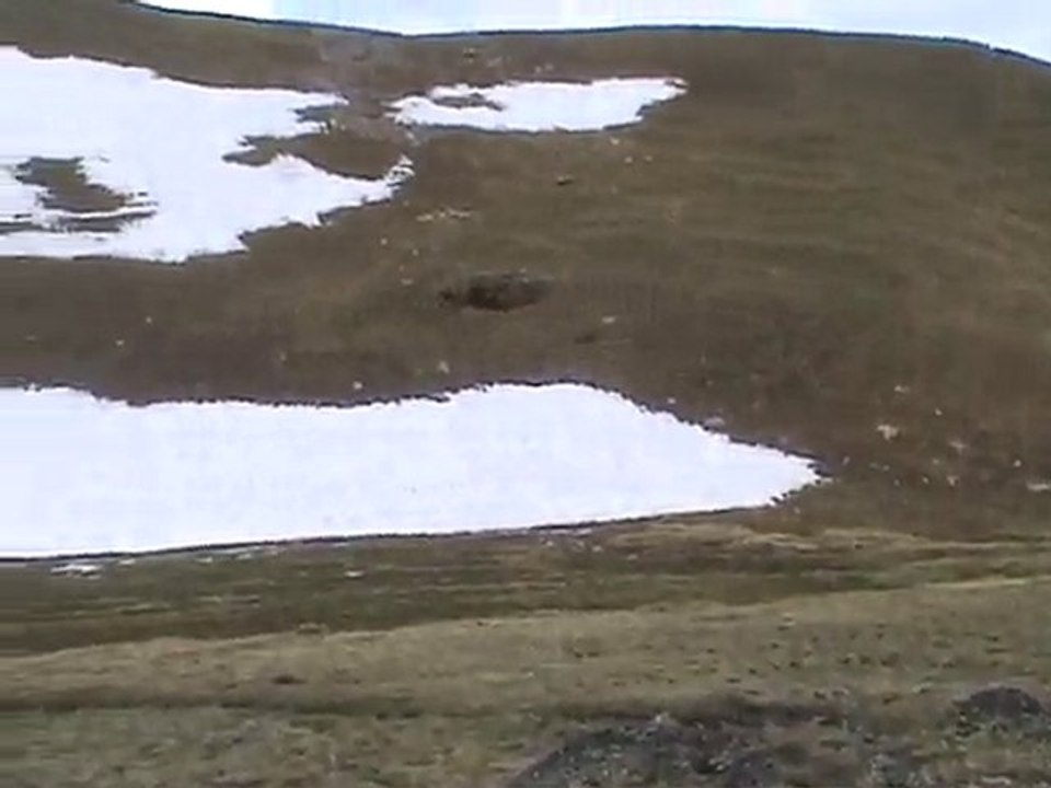 VACANCES - 28/06/2010 - Etang de Creussans + Peyreguils